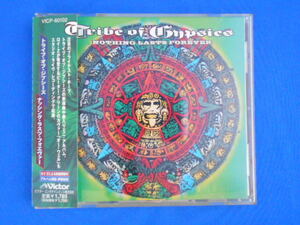 CD/TRIBE OF GYPSIES トライブ・オブ・ジプシーズ/NOTHING LASTS FOREVER ナッシング・ラスツ・フォエヴァー/中古/cd20423