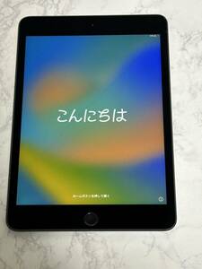 iPad mini 5世代 64GB Wi-Fiモデル スペースグレイ sku10