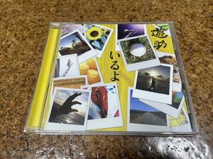 10 CD cd 遊助　いるよ