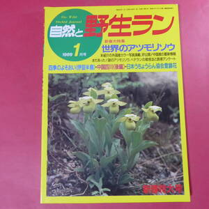 YN4-241219☆自然と野生ラン 1989年1月号　アツモリソウ ウチョウラン 雪割草 エビネ ※ 園芸JAPAN