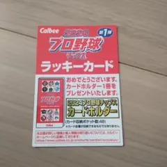 【2024年度版】 カルビープロ野球チップス　ラッキーカード