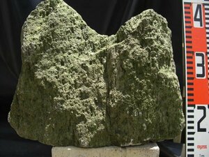 ★収集品整理　《　大型　 軽石鉢？ 》　山崖図のような形　盆栽　鑑賞　鹿児島県産　一点限り　★送料無料