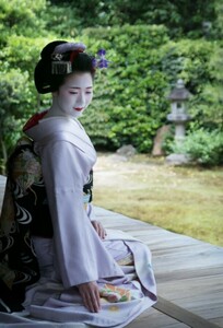 京都舞妓(とし純さん)写真