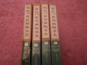 原色日本薬用植物事典〈全４冊〉伊沢凡人　漢方薬