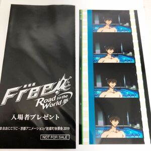 【郁弥】劇場版 Free! Road to the World 夢　入場特典　映画 フィルム　コマフィルム　京都アニメーション　京アニ作品