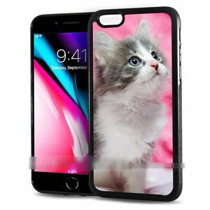 iPod Touch 5 6 アイポッド タッチ ファイブ シックス 子猫 子ネコ キャット スマホケース アートケース スマートフォン カバー