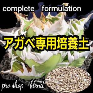 アガベ　専用培養土【10L】プロショップが原料にこだわり抜群の配合で完成させた特選品　これ1つあればバッチリ育成OKです！多肉植物全般に