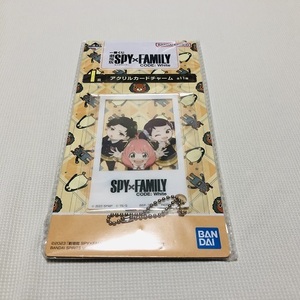 ★一番くじ　SPY×FAMILY （スパイファミリー）　Ｉ賞：アクリルカードチャーム