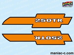 カワサキ 250TR タンクカスタム ステッカー デカール オレンジ 簡単 初心者 かっこいい ドレスアップ Kawasaki シンプル