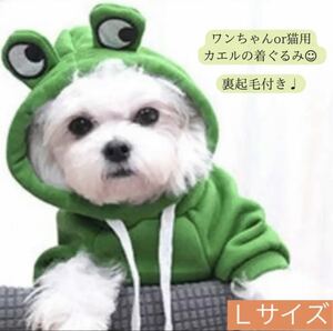 【24時間以内発送可】 犬 猫 裏起毛 カエル パーカ グリーン Lサイズ