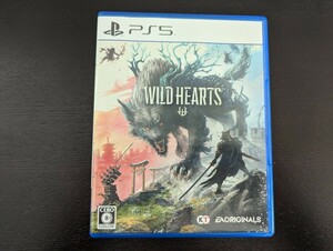 PS5ソフト　Wild Hearts　ワイルドハーツ