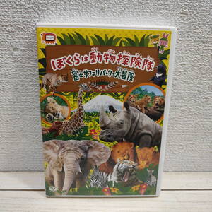 即決！送料無料！ セルDVD 『 ぼくらは動物探険隊 富士サファリパークで大冒険 』 ■ ライオン ラクダ 象 キリン シマウマ カバ サイ etc