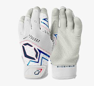  【USA物】エボシールド PRO-SRZ V2 BATTING GLOVES バッティンググローブ USA サイズL 野球 大人用 wiwb57305usal