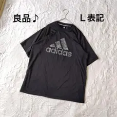 【adidas アデイダス】Tシャツ 半袖（Ｌ表記）良品 ビッグロゴ スポーツ