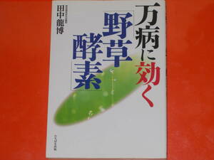 万病に効く 「野草酵素」★野草酵素研究会顧問 田中 龍博★株式会社 たちばな出版★絶版★