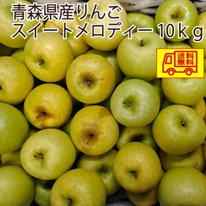 青森県産　りんご　訳あり　スイートメロディー　36～50玉程度　10kg