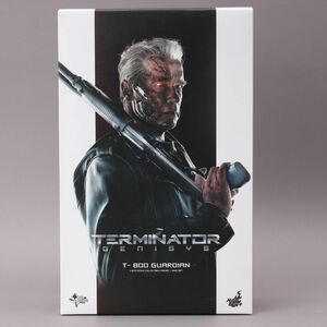 極美品 ターミネーター ジェネシス 新起動 T-800 ガーディアン 1/6 守護神 ムービー マスターピース ホットトイズ フィギュア #80※874/a.f