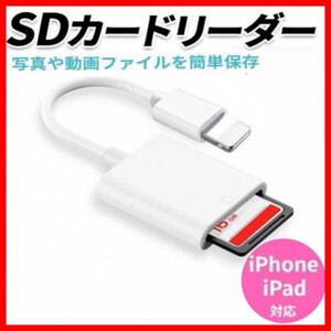 SD カードリーダー iPhone データ転送 ライトニング アダプタ iPad