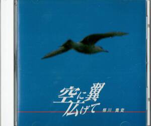 梛川貴史（シンセサイザー）「空に翼広げて」◆ニューエイジ