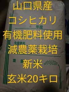 【新米】コシヒカリ玄米20キロ