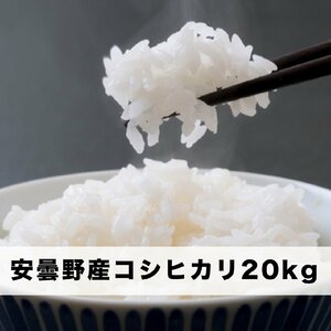 【令和6年産】長野県安曇野産こしひかり 20kg　送料無料