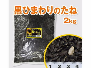 富城物産 黒ひまわりのたね 2kg　小動物エサ 鳥類エサ 管理60