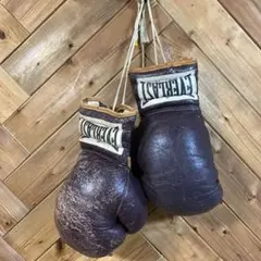 VINTAGE EVERLAST BOXING GROVES