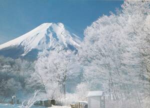 富士山　霧氷　絵はがき　ポストカード　霜氷