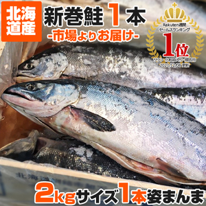 新巻鮭 2kg 1尾 送料0円 塩鮭 姿 鮭 北海道産 秋鮭 一本もの シャケ しゃけ サケ さけ 贈答 ちゃんちゃん焼き 御歳暮 お歳暮 正月 年末年始