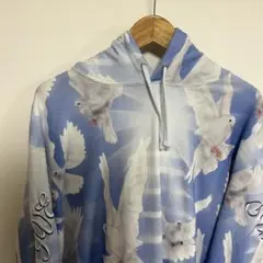 supreme 22ss Doves Hooded Sweatshirt