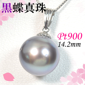 【早い者勝ち卸特価】【新品即決】Pt900 南洋黒蝶真珠 14.2ｍｍ ペンダント ネックレス トップ パール タヒチ プラチナ 6月誕生石 NCM144