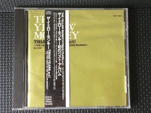 CD TRIAD YEARS actI～THE VERY BEST OF THE YELLOW MONKEY