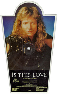 WHITESNAKE 「IS THIS LOVE」Picture+7"シングルレコード　ホワイトスネイクLPレコード　激レアレコード　ピクチャーレコード