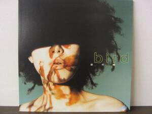 12inch BIRD / 空の瞳 (sakura hills disco 3000 mix) 5枚以上で送料無料