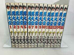 【完結/全巻セット】男大空　全15巻　池上遼一