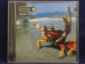 33_00471 THE FAT OF THE LAND／prodigy ※輸入盤