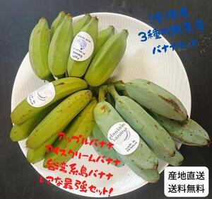 農家産直特価！人気の沖縄産バナナ３種！食べ比べ！３種バナナセット！ 