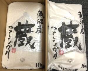 ◎昭栄薬品 株主優待◎ 魚沼産こしひかり「蔵」20kg(10kg×2袋)精米日24年5月下旬　お米/新潟県産/10キロ/20キロ/単一原料米/令和5年度産