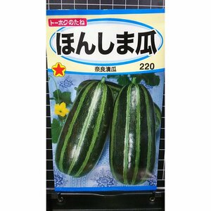 ３袋セット ほんしま瓜 ウリ 奈良漬瓜 種 郵便は送料無料