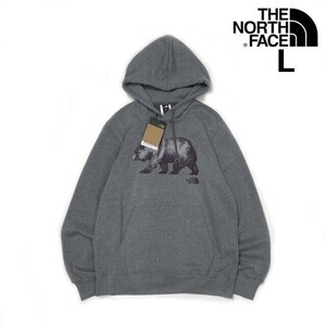 売切り【正規新品】THE NORTH FACE◆NOVELTY GRAPHIC HOODIE パーカー US限定 クマ ベア 裏起毛 アウトドア(L)グレー 181130-33