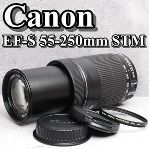 【手振補正＆静音設計＆美品】Canon キャノン EF-S 55-250mm F4-5.6 IS STM 望遠レンズ デジタル一眼レフカメラレンズ #4663