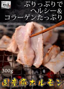 「1円」国産豚ホルモン300g(小腸、焼肉、もつ鍋)