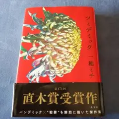 ツミデミック 穂ミチ 第171回直木賞受賞作