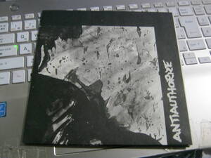 ANTIAUTHORIZE アンチオーソライズ / OUR WIND... 7“ Golem L.C. Pirates Less Haze