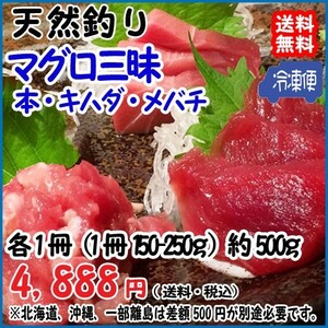 天然 マグロ三昧 150-250g×各1冊＝500g分 冷凍 料亭 寿司屋 ご用達 真空パック 送料無料 宇和海の幸問屋