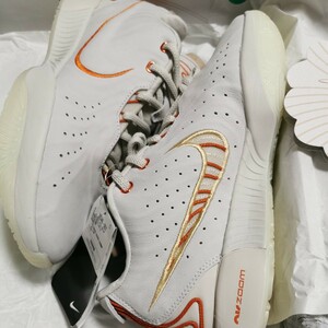 NIKE LEBRON 21 LIGHT BONE/COCONUT MILK/DARK ROSETTE/CAMPFIRE ORANGE　FV2345-001　ナイキ　レブロン　21 アコヤ　US9 25cm 国内NIKE