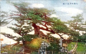 3219★戦前 絵葉書★静岡県　久能山物見の松