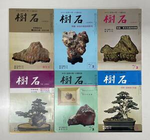 水石雑誌 樹石 12冊セット②◆水石盆石愛石観賞石 ◆専用バインダー付き