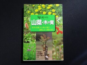 『旬を見つける　山菜・木の実　見分ける楽しみ、味わう喜び満喫したい季節の彩り』