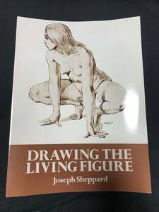 ｓｈ72 Drawing the Living Figure　洋書　アート　テクニック